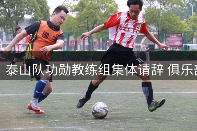 泰山队功勋教练组集体请辞 俱乐部面临战略转型抉择