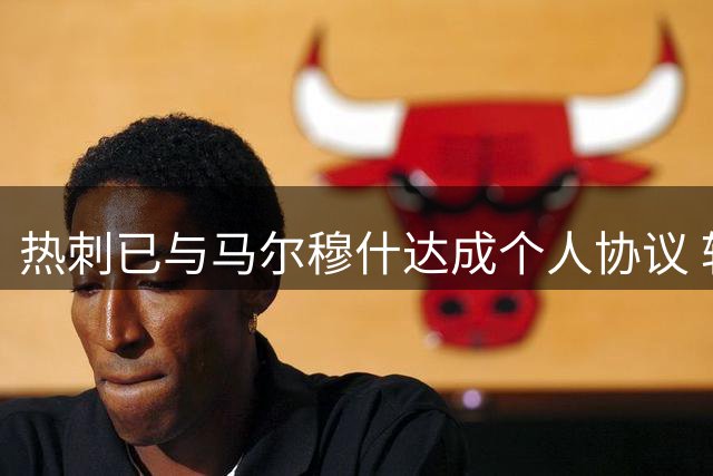 热刺已与马尔穆什达成个人协议 转会谈判取得重大进展